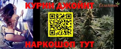 амф Гусь-Хрустальный