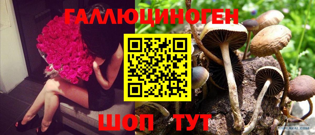 Галлюциногенные грибы мухоморы Касимов