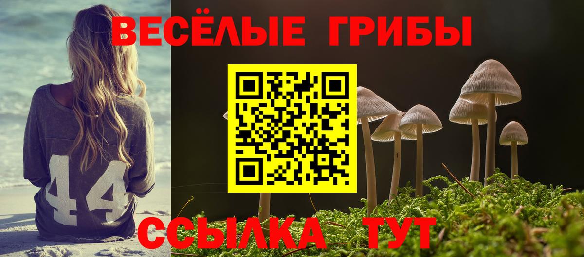 Галлюциногенные грибы Cubensis  Вход с VPN  Касимов 